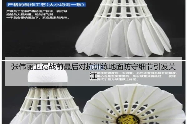 张伟丽卫冕战前最后对抗训练地面防守细节引发关注