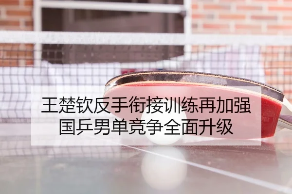 王楚钦反手衔接训练再加强 国乒男单竞争全面升级
